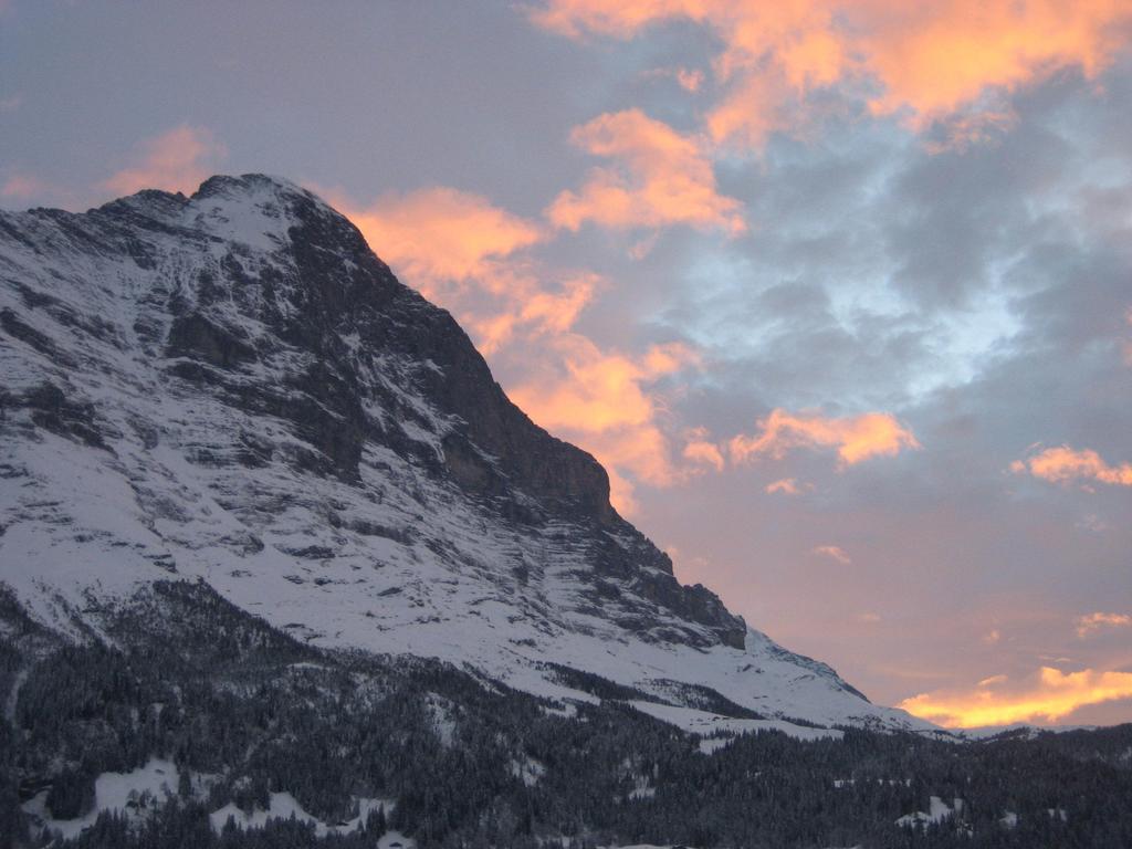 "Studio Edelweiss" Spillstatthus Grindelwald Chambre photo